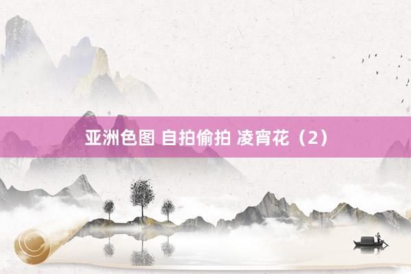 亚洲色图 自拍偷拍 凌宵花（2）
