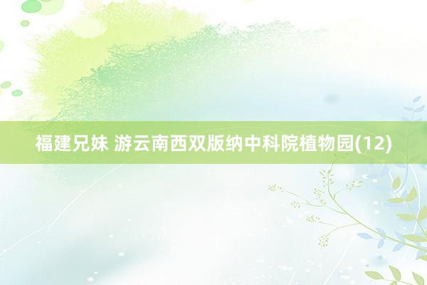 福建兄妹 游云南西双版纳中科院植物园(12)