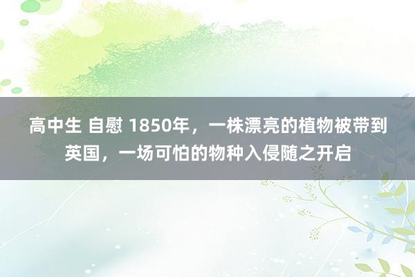 高中生 自慰 1850年，一株漂亮的植物被带到英国，一场可怕的物种入侵随之开启